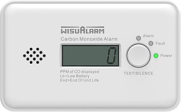 Kohlenmonoxid Melder,10 Jahre Batterie, CO Melder, Kohlenmonoxid Melder Testsieger, CO Warner mit…