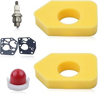 698369 Luftfilter Wartungsset passend für 550, 400, 450 und 500 Serie, 3,5 PS, 3,75 PS, 4,5 PS, …