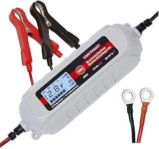 Dino KRAFTPAKET 4A-6V/12V intelligentes und automatisches Batterieladegerät | Für Blei-Säure, …
