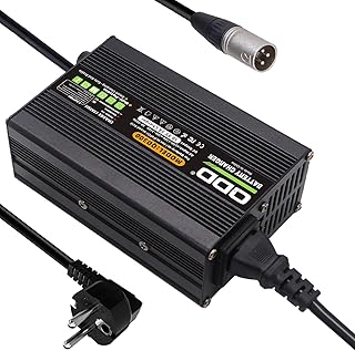 QDD 58,8 V 5 A Li-ION-Ladegerät mit Mehreren Sicherheitsschutzmaßnahmen, geeignet für 14S 52 V…