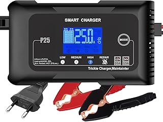 Haisito 25A Autobatterieladegerät, 12V 24V 25A, Erhaltungsladegerät und Entschwefelungsgerät, …