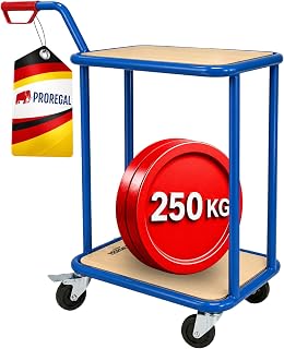 PROREGAL Profi Griffroller 2 Ebenen 102x50x60 cm Traglast 250kg Transportroller mit Griff 2X Lenk…